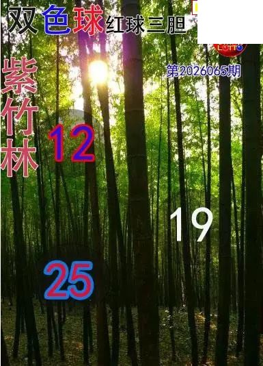 双色球2026年图迷065期 紫竹林红球三胆图