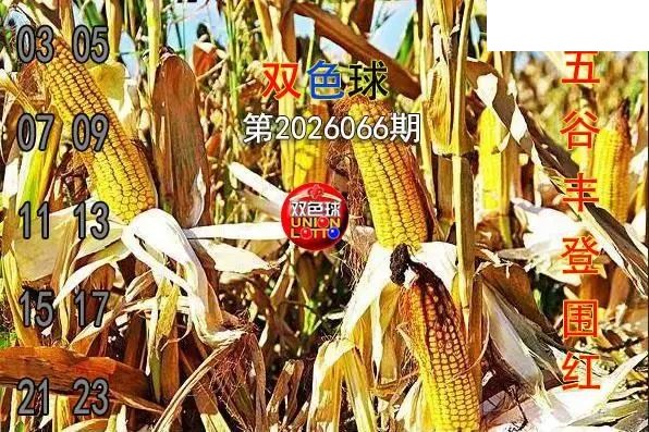 双色球2026年图迷066期 五谷丰登围红图