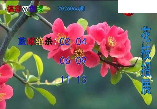 双色球2026年图迷066期 花枝招展蓝球绝杀图