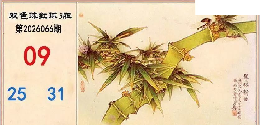 翠竹红球三胆26年066期双色球图谜